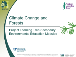 The PINEMAP/PLT Module - School of Forest Resources