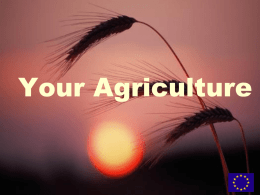 YOUR AGRICULTURE