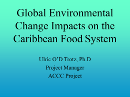 Global change impacts on the Caribbean Food System and current