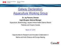 Galway Declaration: Aquaculture Working Group Dr. Jay Parsons