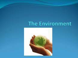 The Environment