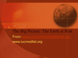 The Big Picture: The Earth at Risk
