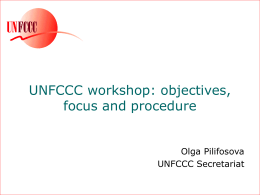 UNFCCC workshop: objectives, focus and procedure