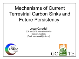 Mechanisms of Current Terrestrial Carbon Sinks and Future