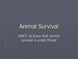 Animal Survival - Primary Resources