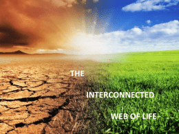 The Interconnected Web of Life