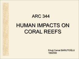 Human Impacts on Our Coral Reefs