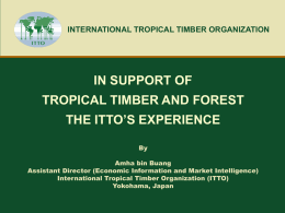 the ITTO`s experience