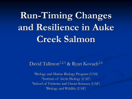 How are salmon changing in response to climate change?