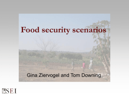 Food security scenarios - Global Environmental Change and Food