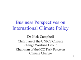 Business Perspectives on International Climate Policy