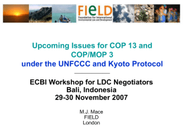 Upcoming Issues for COP 13 and COP/MOP 3 under the UNFCCC