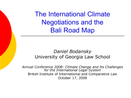 The International Climate Negotiations and the Bali Road Map
