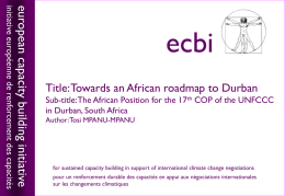 Towards an African roadmap to Durban
