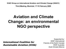 ICAO Group on International Aviation and Climate Change (GIACC)