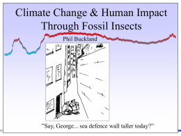 Climate Change & Human Impact Through Fossil Insects
