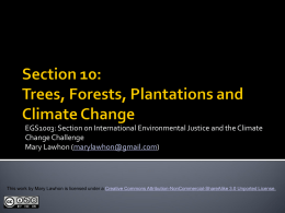 Trees, Forests, Plantations and Climate Change