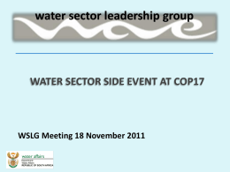 Water Sector Side Event at COP17