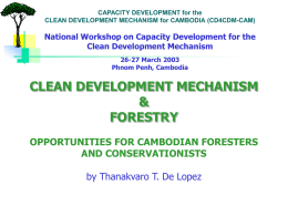 Forestry - Capacity Development for the CDM