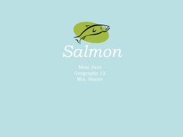 Salmon - sabresocials.com