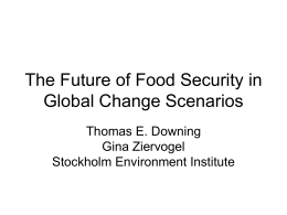 The Future of Food Security in Global Change Scenarios