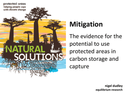 Carbon storage and capture