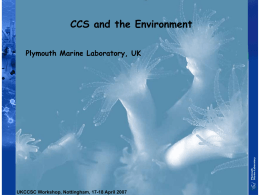 CCS and the Environment