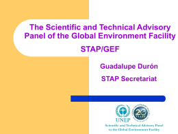 Scientific and Technical Advisory Panel to the Global Environment
