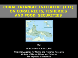 PPT File - 521 KB - International Coral Reef Initiative