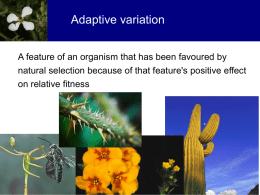 Adaptive variation