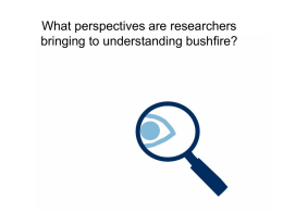 What perspectives are researchers bringing to understanding