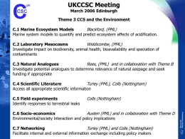 Theme C overview - CCS Community Network