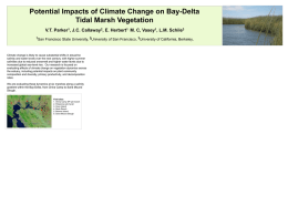 Potential Impacts of Climate Change on Bay