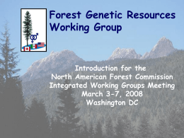 Forest Genetics -