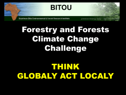 BITOU Adapt to Climate Change: Bring Back Indigenous Forest to