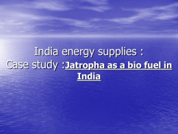 India energy supplies