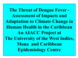 The Threat of Dengue Fever - Assessment of Impacts and
