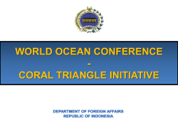 Document 33 - ASEAN Regional Forum