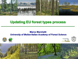 European Forest Types