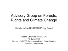 Advisory Group on Forests, Rights and Climate Change - UN