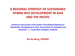 Constraints of hybrid rice development: Technology (cont.)