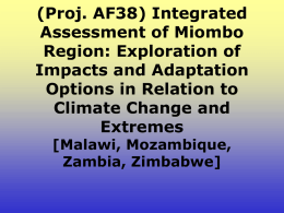 (Proj. AF38) Integrated Assessment of Miombo Region: Exploration