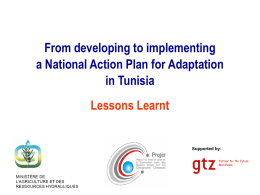 From developing to implementing a National Action Plan for