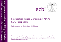 Negotiation Issues Concerning NAPs