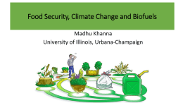 Food Security, Climate Change and Biofuels