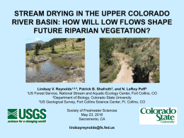 stream drying in the Upper Colorado River Basin: how will low flows