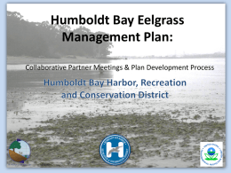 Humboldt Bay Eelgrass Management Plan