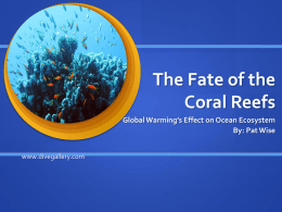 The Fate of the Coral Reefs