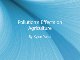 Pollution`s Effects on Agriculture