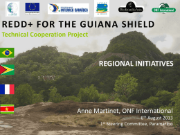 EN ATTENDANT LE FORUM* - REDD+ for the Guiana Shield